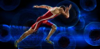 The Darker Reality of Orthopedic Stem Cell Therapy Stem Cell Therapy
