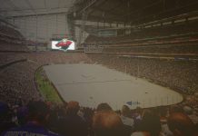Imagining Environmentally Friendlier NHL Arenas Environmentally Friendlier NHL Arenas