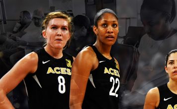 The WNBA Travel Accommodations Problem WNBA travel